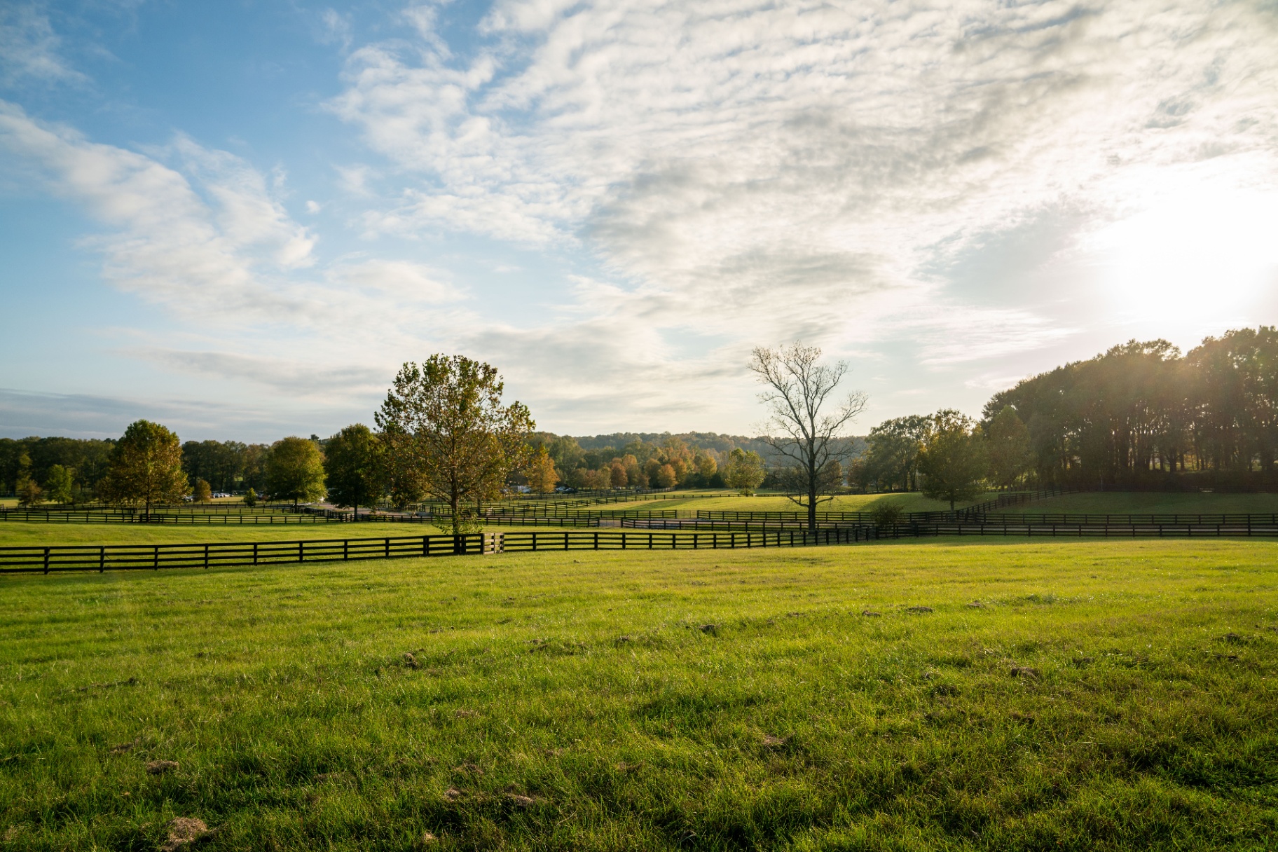 Open pastures and rolling fields at Providence Hill