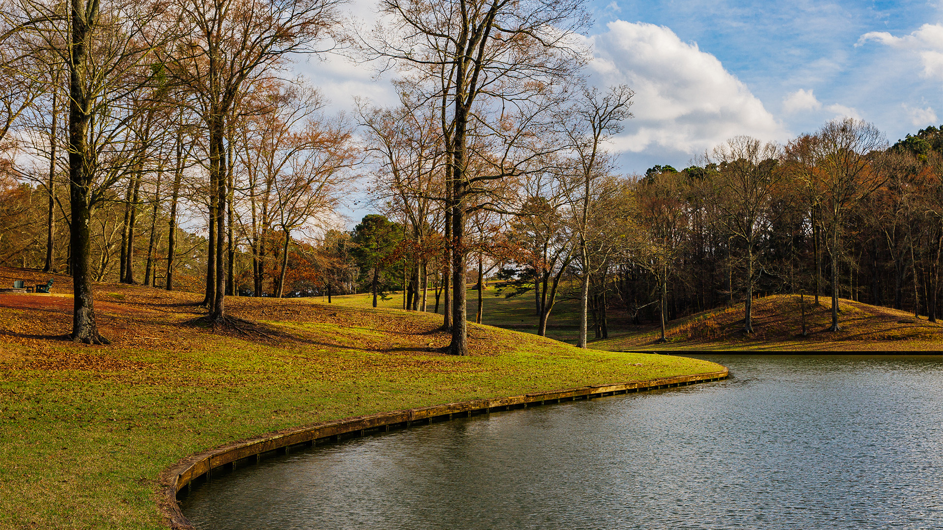 Lakeside trees and shoreline at Providence Hill