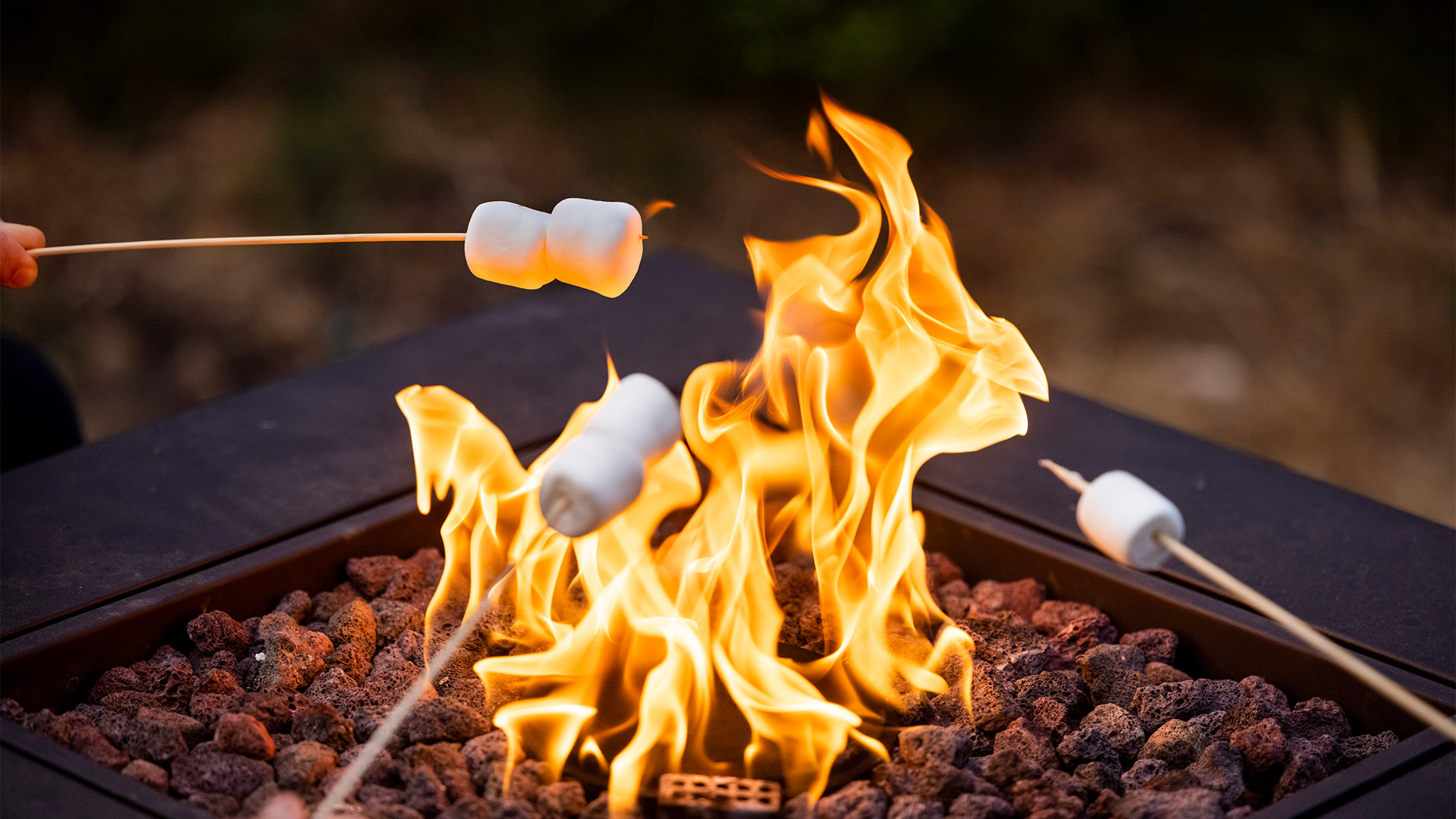 Roasting marshmallows at the firepit